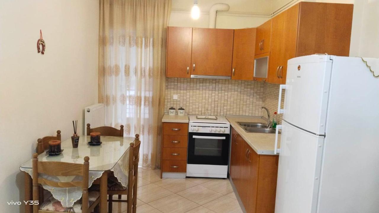 Ομορφο Διαμερισμα Στο Κεντρο Της Πολης Με Παρκιν Appartement Tríkala Buitenkant foto